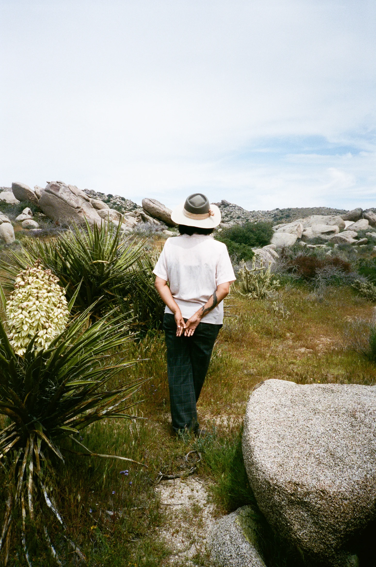 Desert Bloom